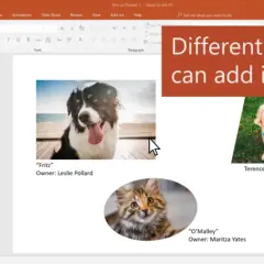 Jak przyciąć obraz w PowerPoint i uniknąć frustracji z edycją